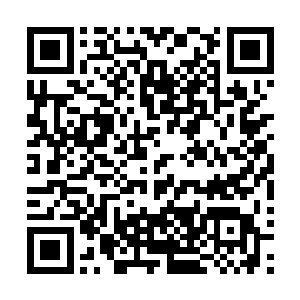 最多也只是对于王世子童年时生活表现出礼貌性的一些好奇二维码生成