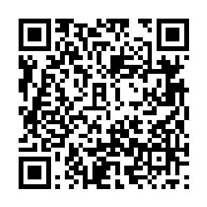 最多也只能造就一个宗师级初期高手而已……而且二维码生成