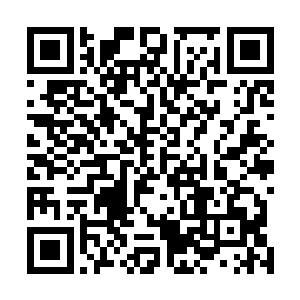 最多也就占整个轮藏空间的宝藏的百分之一或者百分之二二维码生成