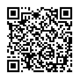 最多也就是稍微延缓了一点儿我们死亡的时间而已二维码生成