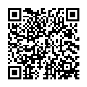 最多也就查查昇哥儿的功课或者跟几个孩子说说话了二维码生成