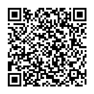最多杨晨多准备了一些能量粒子信号和电子信号的相互转换翻译设备就完成了二维码生成