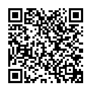 最大的一条还是前面的八百多磅的到九百磅都困难二维码生成