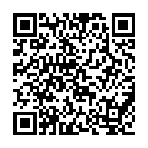 最大的可能还是褚恩是被欧阳荻推落坠落死亡的二维码生成