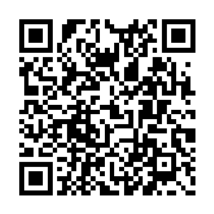 最大的意外发生在杜克与索菲亚的拥抱结束之后二维码生成