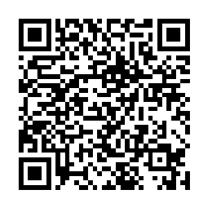 最大的符文连带着强大的压迫之力直奔前来男子的眉心二维码生成