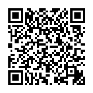 最大程度的保证了公司内部技术人员不会受到外界干扰二维码生成