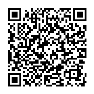 最大错算就是将我这潜入者当做寻常天仙……圣人之躯天机敏锐救了我一命二维码生成