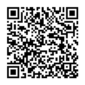 最大限度地争取蛊修的权益――咱们自己辛苦用精血喂养大的蛊虫二维码生成