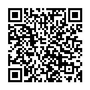 最好先回忆一下封住一楼大门的那道光壁……猜猜那是谁的杰作二维码生成