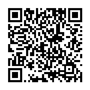 最好将孙家的房产公司和草原乳业和并成一家公司二维码生成