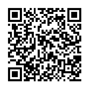 最好的东西自己那位老爹肯定是不会拿出来卖的二维码生成