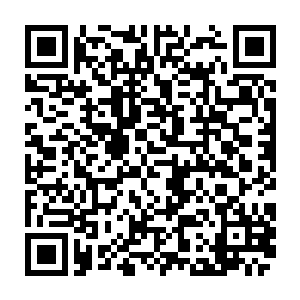 最好的方法是有一个具有生命之气的修士能够一直温和地为她补充生命之气二维码生成