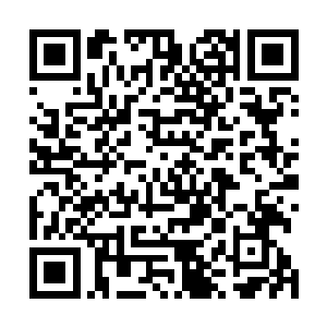 最好的预计便是李雨彤和罗卿卿是林烽的表姐堂姐什么的二维码生成