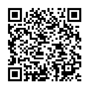 最好金基哲被李金方吓得不敢再和他动手直接认输二维码生成