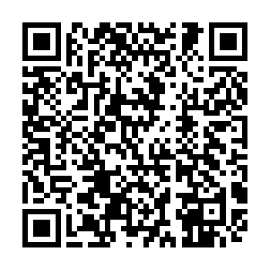 最少也是至尊境后期的强者……比教廷的那个苦修者兰多夫还要强横许多的存在二维码生成