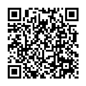 最少有五十万左右黑暗族人驻扎在这黑暗之原了二维码生成