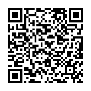 最左边的空地上已经用山石和水泥砌起了一大两小三个坟冢二维码生成