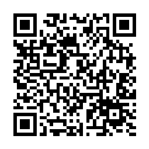 最常见的特殊特质就有十大纯属性和阴阳体质一共十一种二维码生成