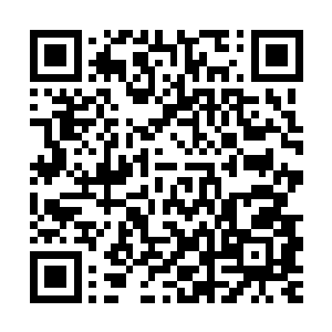 最开始就豪迈的叫出屠凤豪言的那个呆头呆脑的家伙大声的叫道二维码生成