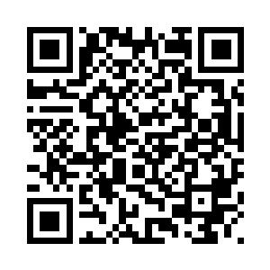 最弱的也差不多有结丹后期的样子二维码生成