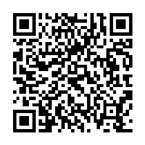 最强大的一个也不过仅仅只有一个道君境界的高手坐镇而已二维码生成
