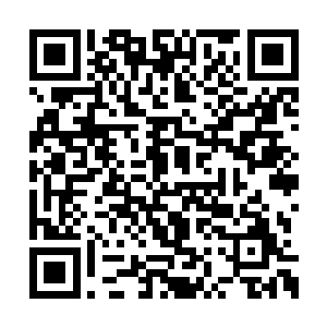 最强的一击……他们各自所拥有的所有单体技能二维码生成