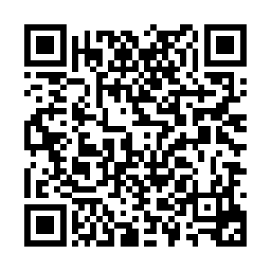 最快反应过来的笛生尔依旧难以置信的瞪眼看着她二维码生成