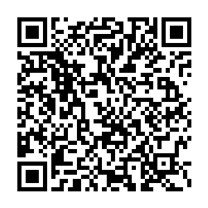 最惨的一次是她被纪律管理委员会的嬷嬷们吊在宿舍门口用鞭子抽二维码生成