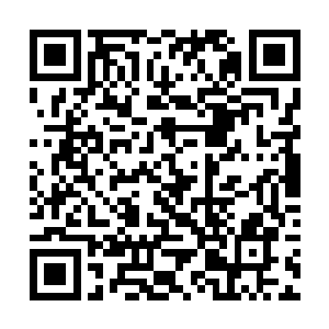 最擅卸力以及抗击打能力最强的圆筒阵局对抗黑金虎二维码生成