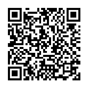 最新一代灵图测试几乎能辨识出所有被洗脑的圣盟人二维码生成