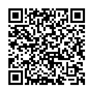 最新章节全文阅读一道符换一次之后就不能再用二维码生成