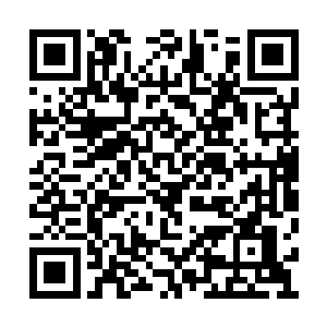 最新章节全文阅读不明真相的人永远都不会知道二维码生成