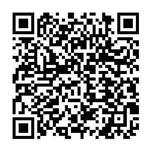 最新章节全文阅读何忠依稀觉得小少爷的性情定与这次受伤有绝对的牵连二维码生成