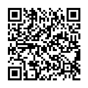 最新章节全文阅读像这种情况显然是十分的不对劲二维码生成