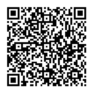 最新章节全文阅读几乎涵盖了所有主流智能手机的刷机方式都给出了超级详细的操作说明二维码生成