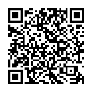 最新章节全文阅读如果那个罗宾撕了黑龙离开之后二维码生成