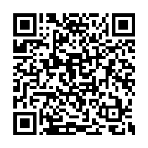 最新章节全文阅读就好像什么事情都没发生一样二维码生成