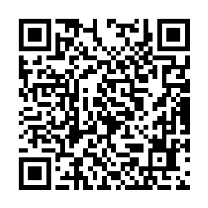 最新章节全文阅读我眼睛不自觉的就偏到毛丹身上二维码生成