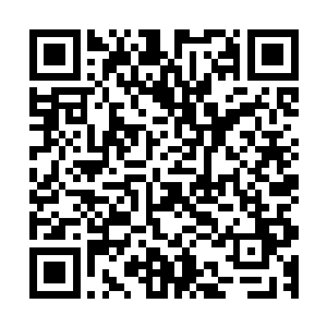 最新章节全文阅读真正正统的阴阳师我不敢说这个世界上没有二维码生成