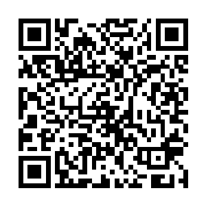 最新章节全文阅读美食美酒和美女在笑声之中尽显韵味二维码生成