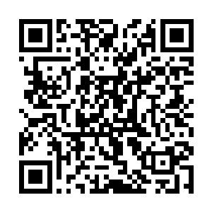 最新章节全文阅读而后目光再次定格在了林辰的身上二维码生成