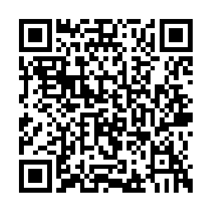 最有可能出现的情况就是编剧里的勾画太过细致二维码生成