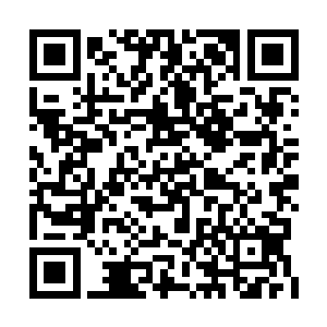 最有可能对他们造成麻烦的就是百断之地的分身二维码生成