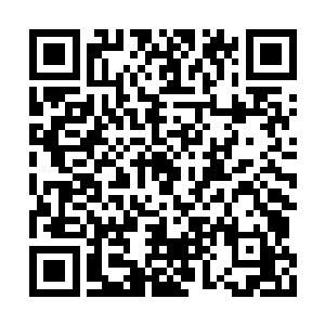 最有名的神经外科医生也建议我父亲不要再开刀二维码生成