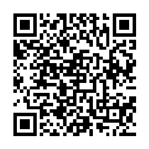 最有意思的是他看到自己脚下的血液也在转变为某种能量二维码生成