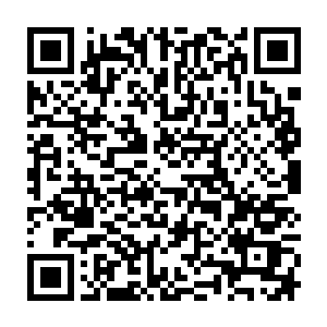 最神奇的效果是通过投影的方式在舞台上动态展示了一座华丽宫殿搭建的过程二维码生成