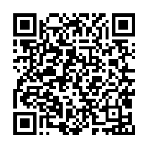 最神奇的是有一棵本在山中生长了许多年的松树二维码生成