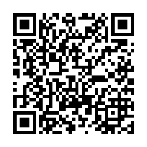 最终不多不少录取了50人成为有道集团第一届总培生二维码生成