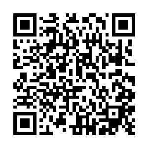 最终九九归一元神丹拍下了四十五亿六品灵晶的天价二维码生成